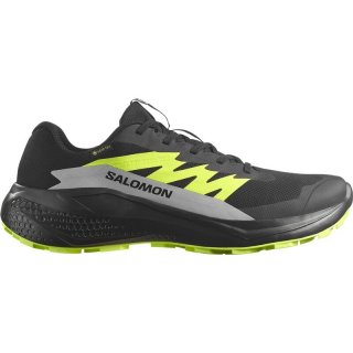 Salomon Herren Trailrunningschuhe SHOES ALPHAGLIDE GTX - Schwarz/Legierung/Scharfes Grün