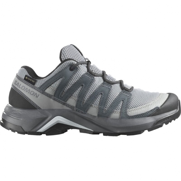Salomon Damen Multifunktionsschuhe SHOES X-ADVENTURE RECON GTX W - Monument/Turbulenz/Balladenblau