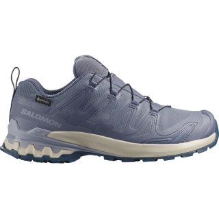 Salomon Damen Trailrunningschuhe SHOES XA PRO 3D V9 GTX W - Grisaille/Passatwinde/Verzaubert