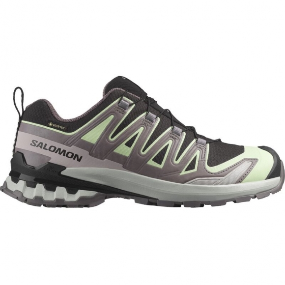 Salomon Damen Trailrunningschuhe SHOES XA PRO 3D V9 GTX W - Schwarz/Patinagrün/Grauviolett