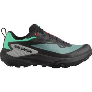 Salomon Herren Trailrunningschuhe SHOES GENESIS GTX - Nordatlantik/Schwarz/Haifischhaut