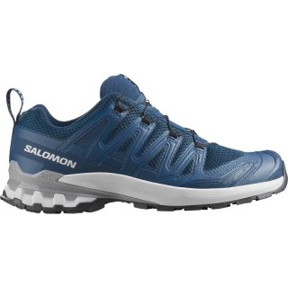 Salomon Herren Trailrunningschuhe SHOES XA PRO 3D V9 - Poseidon/Eiszapfen/Legierung