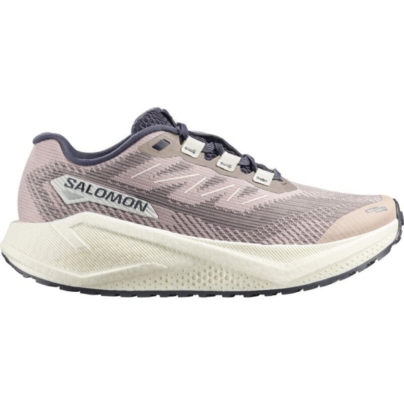 Salomon Damen Laufschuhe SHOES AERO BLAZE 3 GRVL W - Schattengrau/Vanilleeis/Neun Eisen
