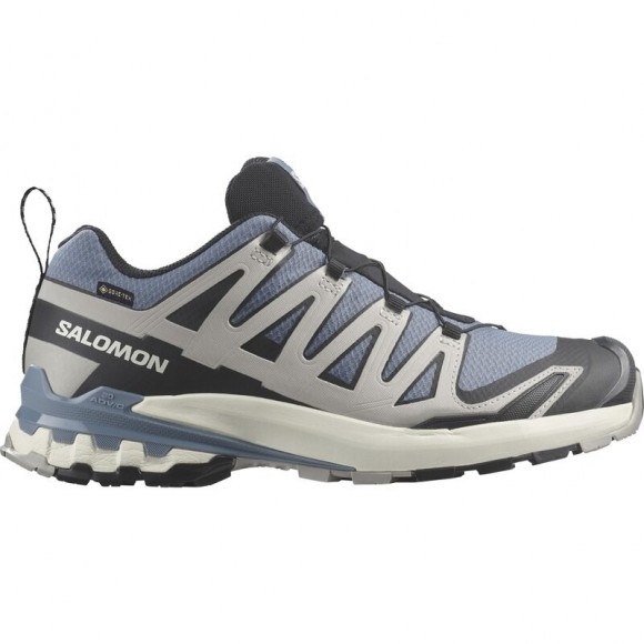 Salomon Herren Trailrunningschuhe SHOES XA PRO 3D V9 GTX - Feuerstein/Schwarz/Geistergrau