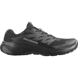 Salomon Herren Trailrunningschuhe SHOES ALPHAGLIDE GTX - Schwarz/Asphalt/Schwarz