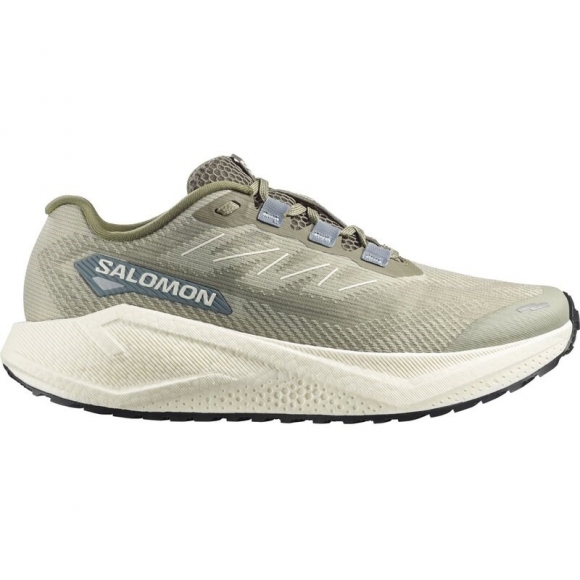 Salomon Herren Laufschuhe SHOES AERO BLAZE 3 GRVL - Tee/Vanilleeis/Tiefes Flechtengrün