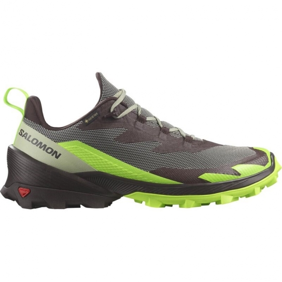 Salomon Herren Multifunktionsschuhe SHOES CROSS OVER 2 GTX - Wüstensalbei/Grüner Gecko/Schokolade P