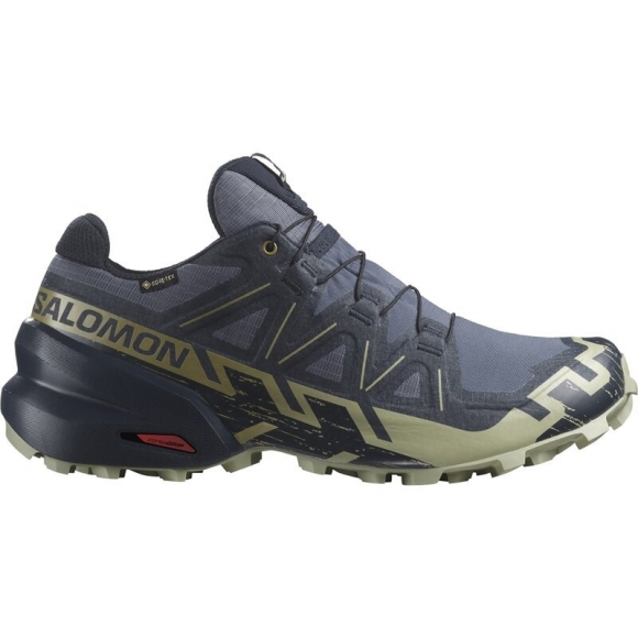 Salomon Herren Trailrunningschuhe SHOES SPEEDCROSS 6 GTX - Grisaille/Kohlenstoff/Tee