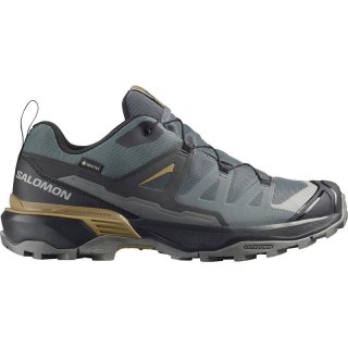 Salomon Herren Multifunktionsschuhe SHOES X ULTRA 360 GTX - Urban Chic/Schwarz/Plantage