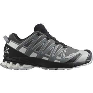 Salomon Herren Trailrunningschuhe SHOES XA PRO 3D v8 GTX - Magnet/Stürmisches Wetter/Weiß