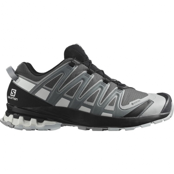 Salomon Herren Trailrunningschuhe SHOES XA PRO 3D v8 GTX - Magnet/Stürmisches Wetter/Weiß