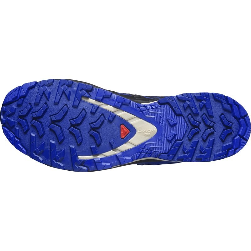 Salomon Herren Trailrunningschuhe SHOES XA PRO 3D V9 GTX - Blauer Druck/Surf the Web/Lapisblau