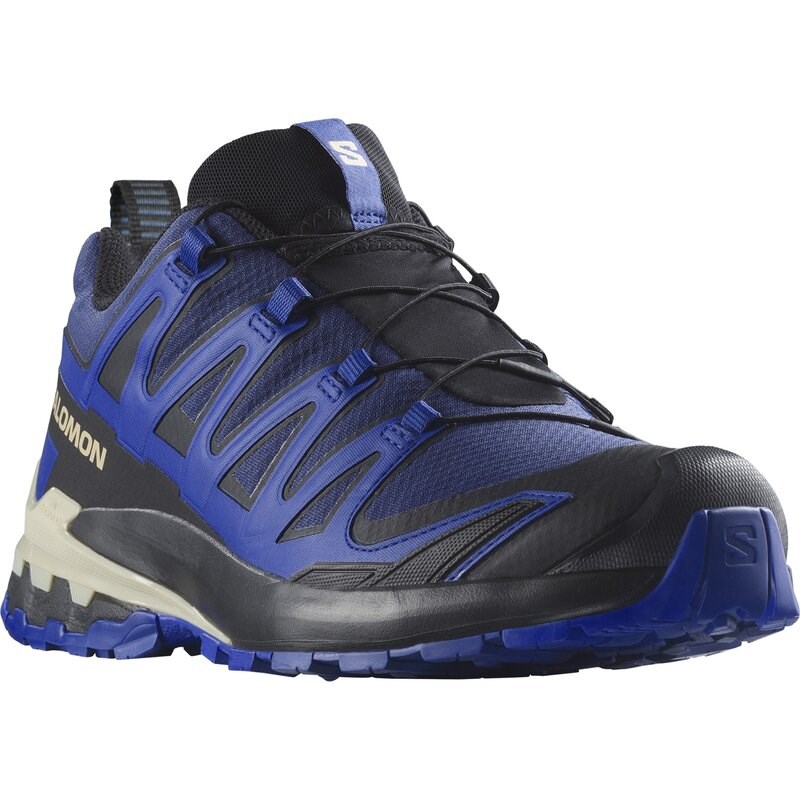 Salomon Herren Trailrunningschuhe SHOES XA PRO 3D V9 GTX - Blauer Druck/Surf the Web/Lapisblau
