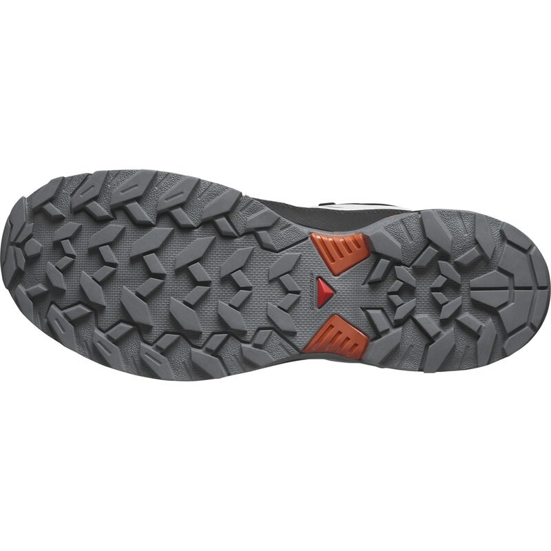 Salomon Herren Multifunktionsschuhe SHOES X ULTRA 360 GTX - Ruhiger Schatten/Schwarz/Gewürzroute
