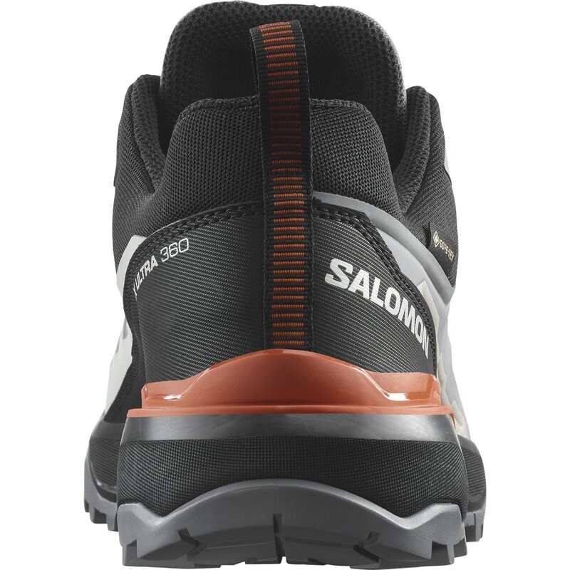 Salomon Herren Multifunktionsschuhe SHOES X ULTRA 360 GTX - Ruhiger Schatten/Schwarz/Gewürzroute
