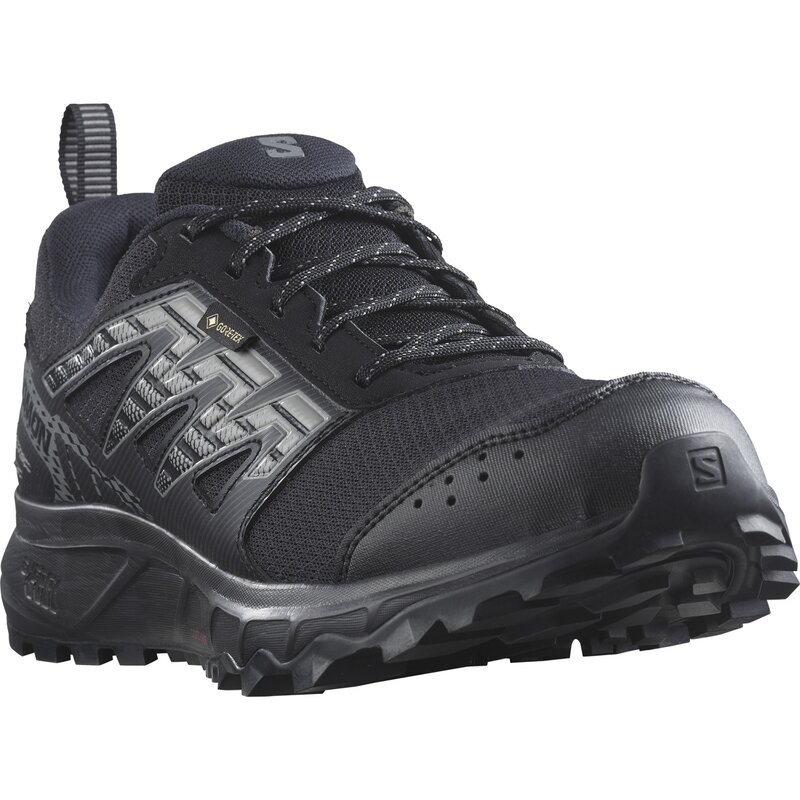 Salomon Herren Trailrunningschuhe SHOES WANDER GTX - Schwarz/Zinn/Frostgrau