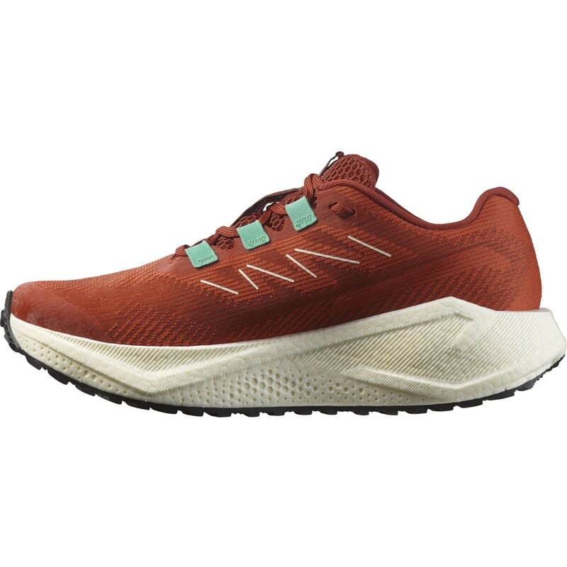 Salomon Damen Laufschuhe SHOES AERO BLAZE 3 GRVL W Burnt - Gebrannter Ocker/Vanilleeis/Vanilleeis