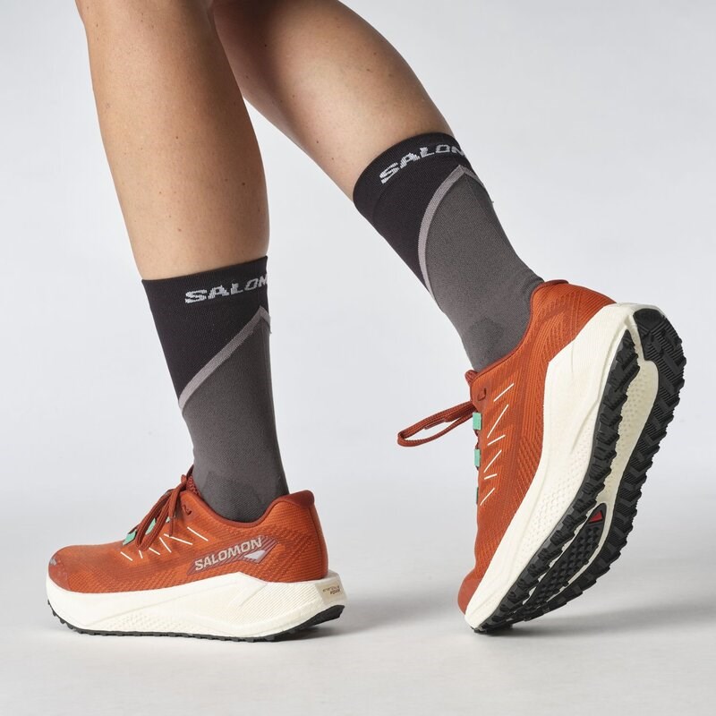 Salomon Damen Laufschuhe SHOES AERO BLAZE 3 GRVL W Burnt - Gebrannter Ocker/Vanilleeis/Vanilleeis