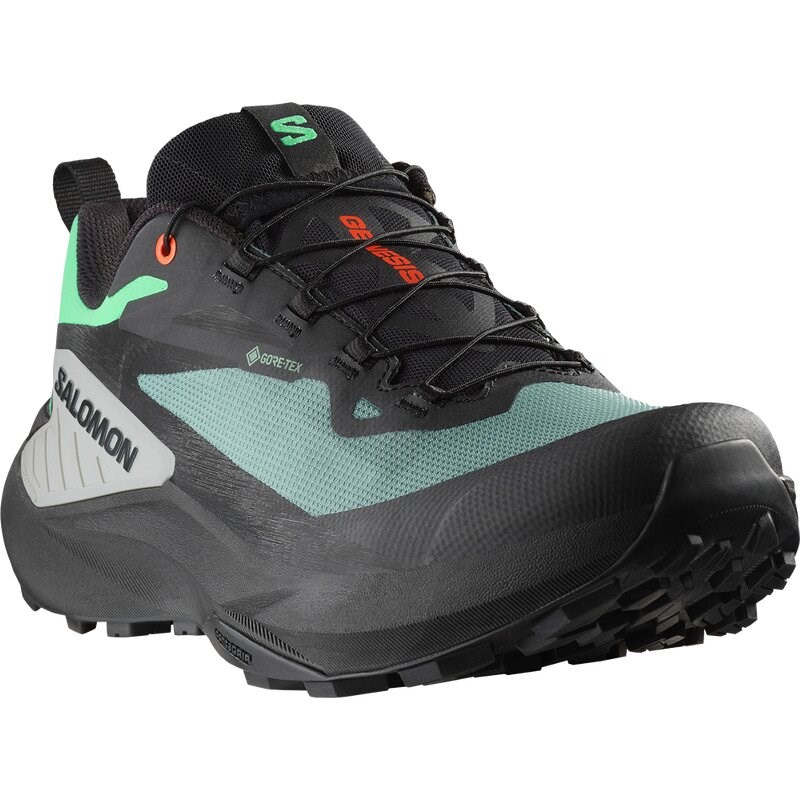 Salomon Herren Trailrunningschuhe SHOES GENESIS GTX - Nordatlantik/Schwarz/Haifischhaut
