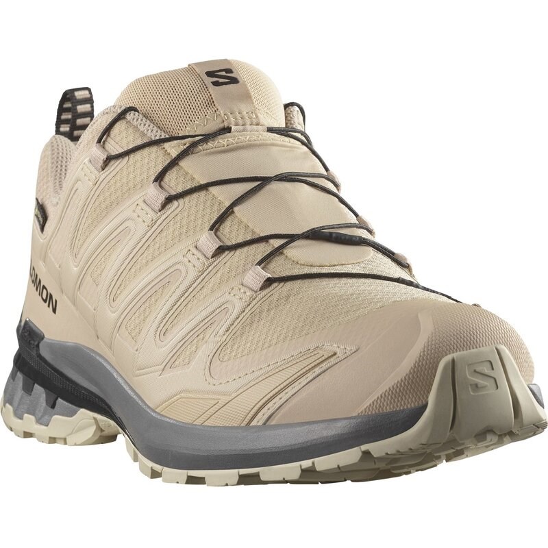Salomon Herren Trailrunningschuhe SHOES XA PRO 3D V9 GTX - Oxford Tan/Castlerock/Schwarz