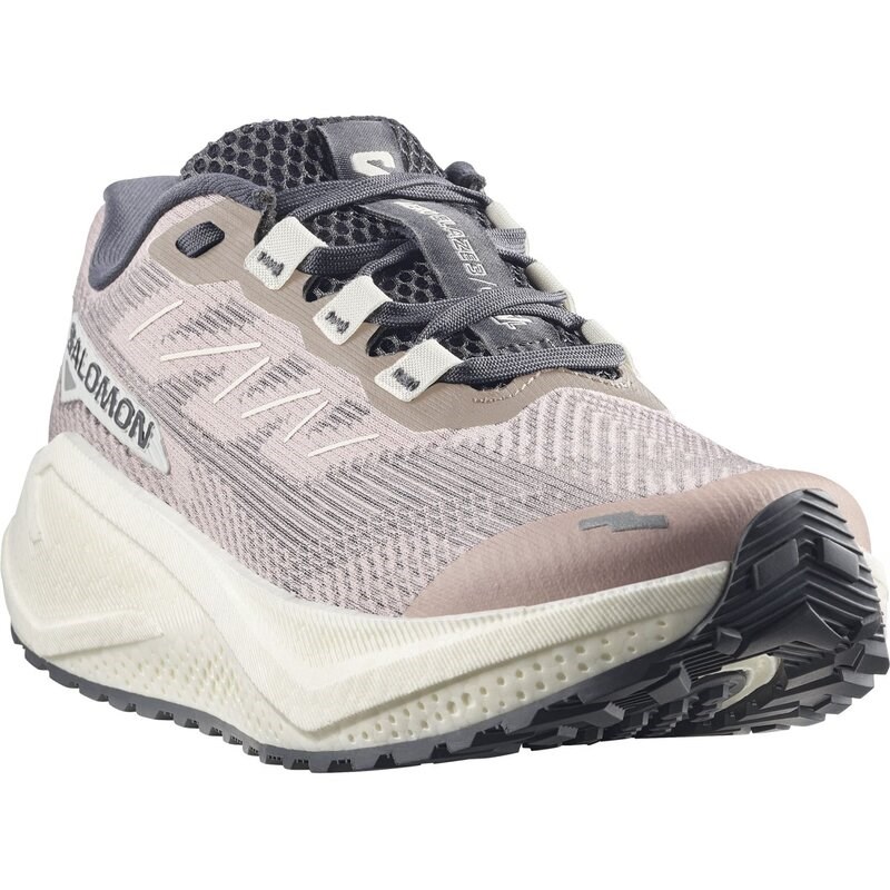 Salomon Damen Laufschuhe SHOES AERO BLAZE 3 GRVL W - Schattengrau/Vanilleeis/Neun Eisen