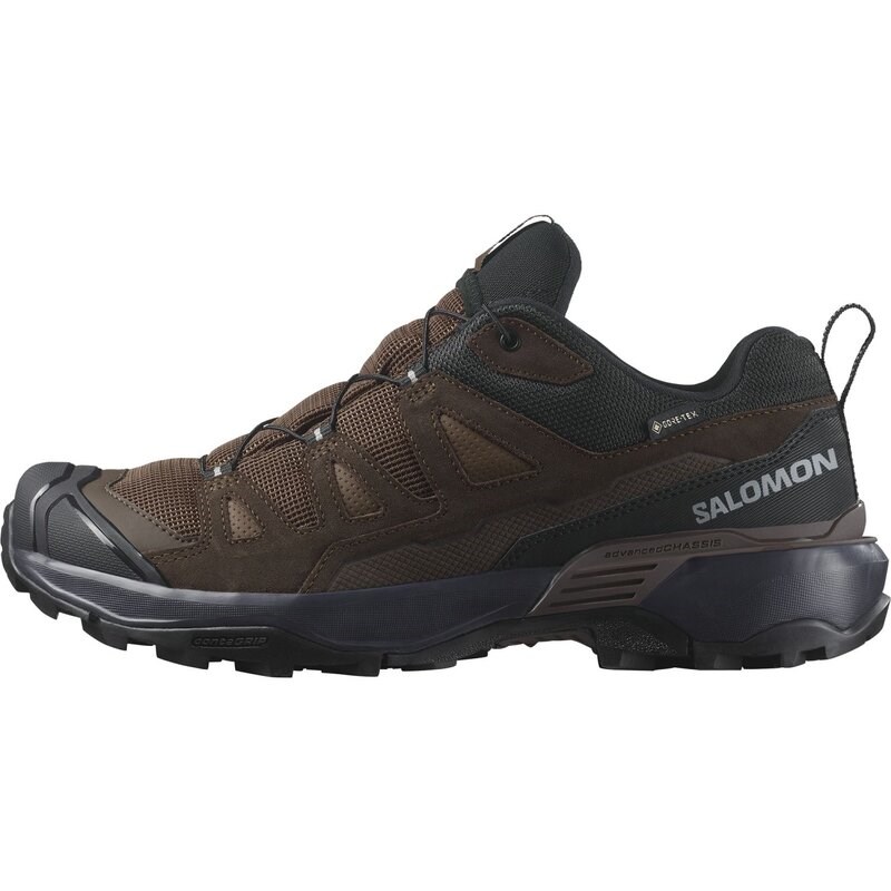 Salomon Herren Multifunktionsschuhe SHOES X ULTRA 360 LTR GTX - Dunkle Erde/Delicioso/Haifischhaut