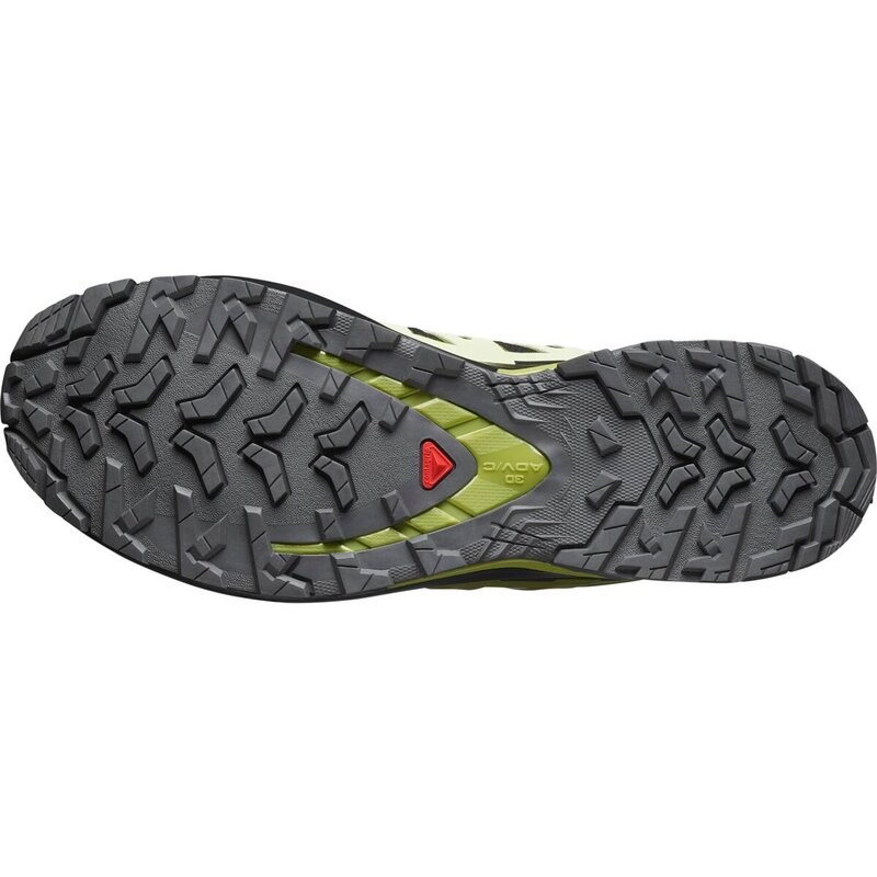 Salomon Herren Trailrunningschuhe SHOES XA PRO 3D V9 GTX - Schwarz/Limettencreme/Dunkle Zitrone