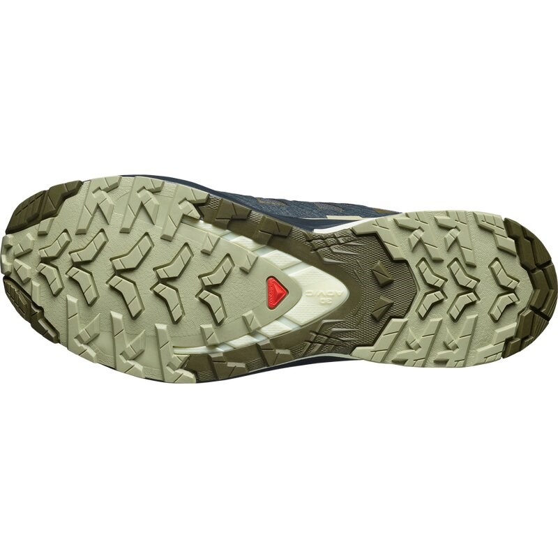 Salomon Herren Trailrunningschuhe SHOES XA PRO 3D V9 GTX - Tinte/Olivennacht/Aloe Wash