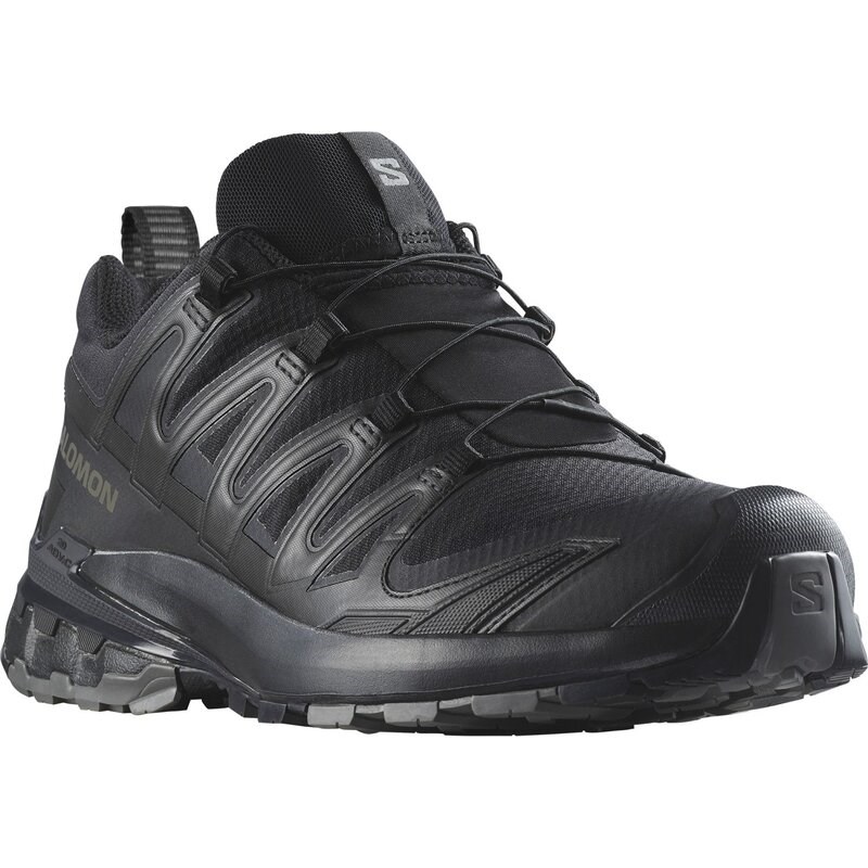 Salomon Herren Trailrunningschuhe SHOES XA PRO 3D V9 GTX - Schwarz/Phantom/Zinn