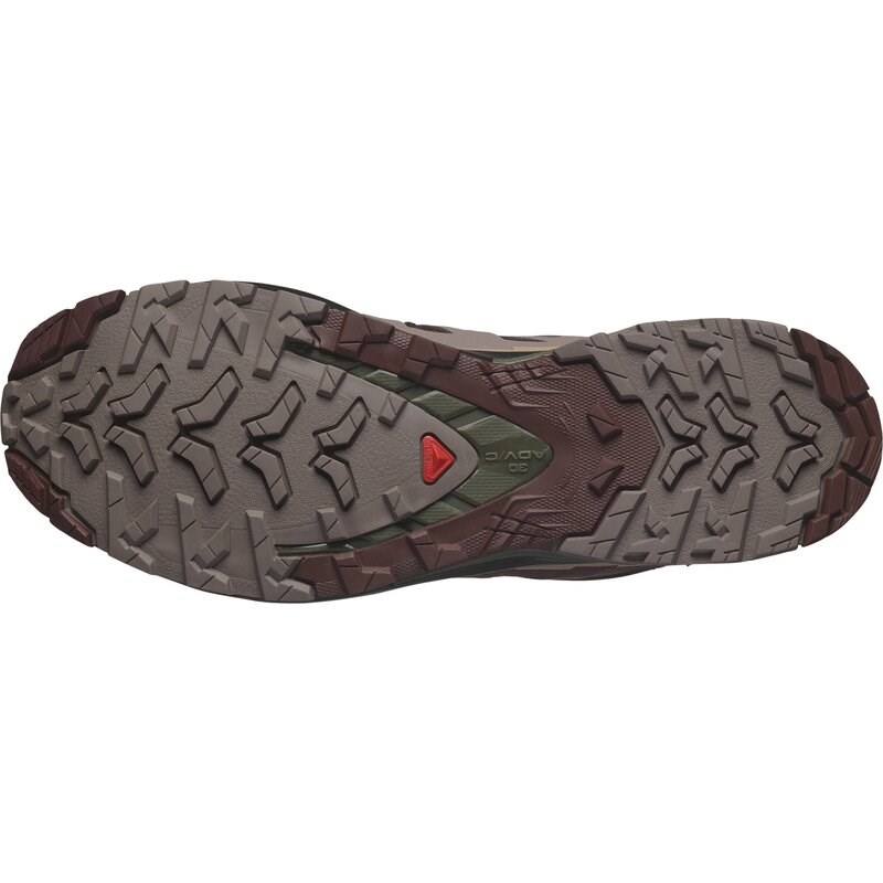 Salomon Herren Trailrunningschuhe SHOES XA PRO 3D V9 GTX - Schwarzer Kaffee/Rumrosine/Olivennacht