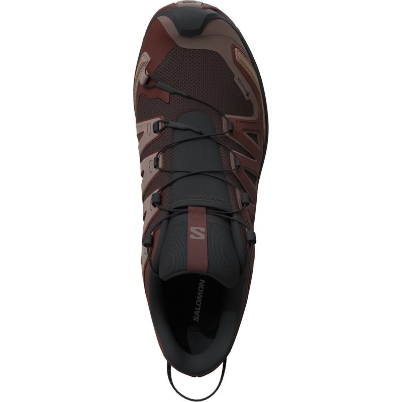 Salomon Herren Trailrunningschuhe SHOES XA PRO 3D V9 GTX - Schwarzer Kaffee/Rumrosine/Olivennacht