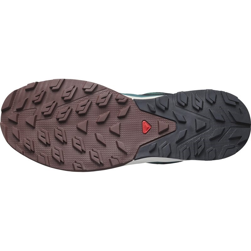 Salomon Herren Multifunktionsschuhe SHOES OUTRISE GTX - Ponderosa-Kiefer/Bitterschokolade/Vanille