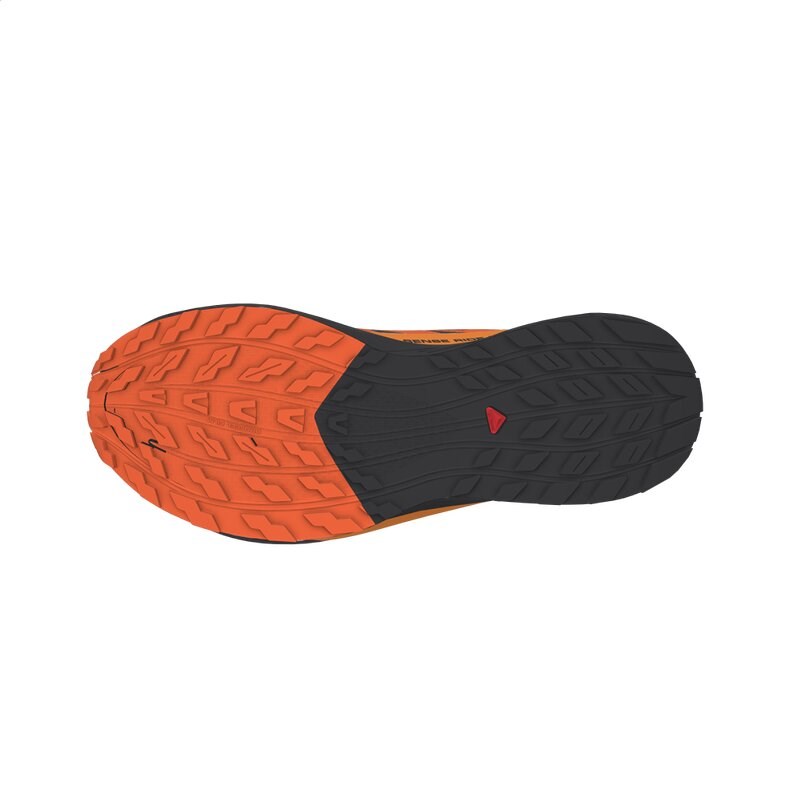 Salomon Herren Trailrunningschuhe SHOES SENSE RIDE 5 GTX - Schwarz/Scharlachroter Ibis/Kurkuma