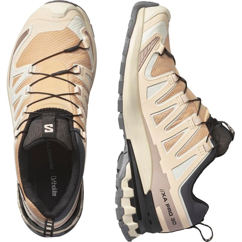 Salomon Damen Trailrunningschuhe SHOES XA PRO 3D V9 GTX W - Haselnuss/Zarter Pfirsich/Schwarz