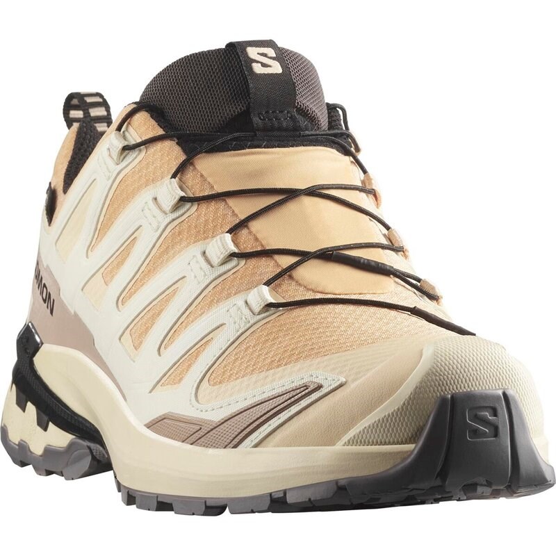 Salomon Damen Trailrunningschuhe SHOES XA PRO 3D V9 GTX W - Haselnuss/Zarter Pfirsich/Schwarz