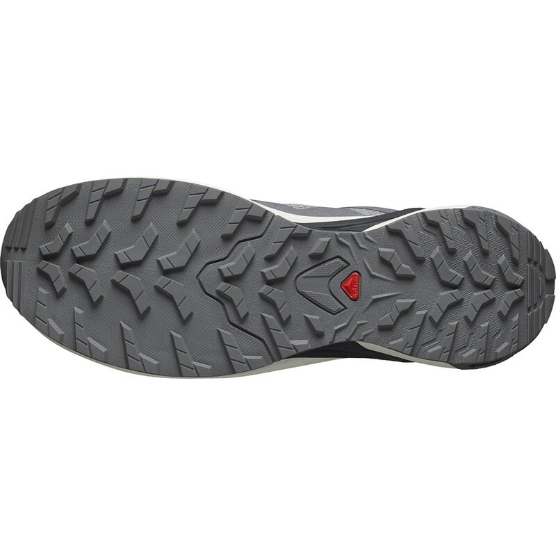 Salomon Herren Trailrunningschuhe SHOES X-ADVENTURE GTX Gray - Grauer Flanell/Vanilleeis/Schwarz