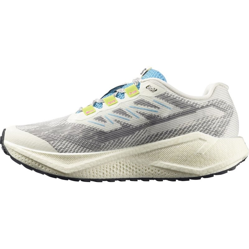 Salomon Herren Laufschuhe SHOES AERO BLAZE 3 GRVL - Vanilleeis/Ojos del Salar/Schwarz