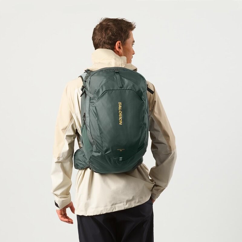 Salomon Kleintasche TRAILBLAZER 30 Urban - Urban Chic/Grünes Milieu