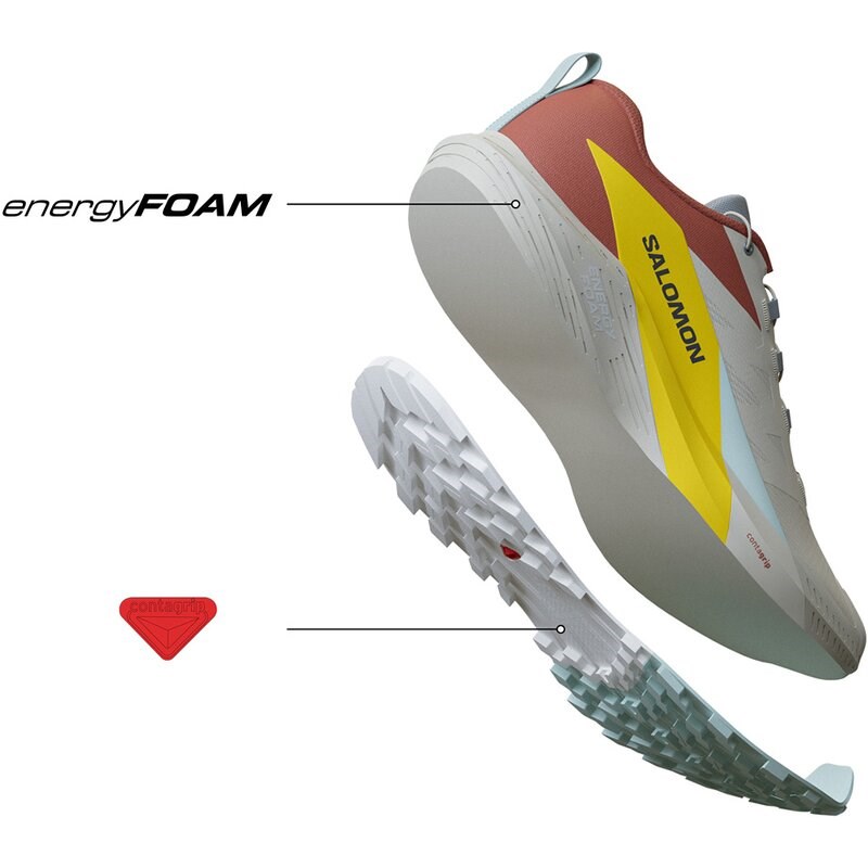 Salomon Herren Trailrunningschuhe SHOES SENSE RIDE 5 - Mondfelsen/Schockorange/Feuriges Rot