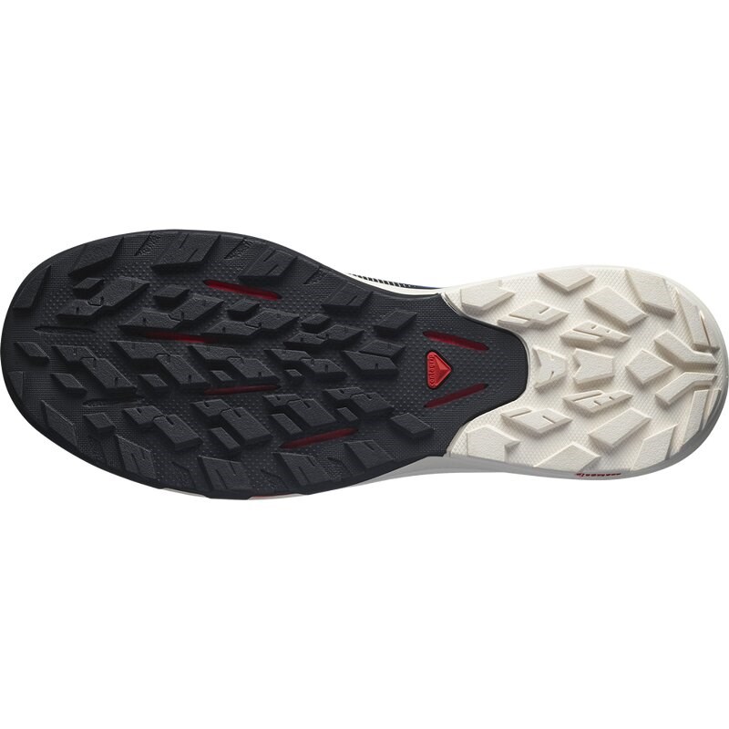 Salomon Herren Multifunktionsschuhe SHOES OUTpulse GTX Estate - Estate-Blau/Vanilleeis/Mohnrot