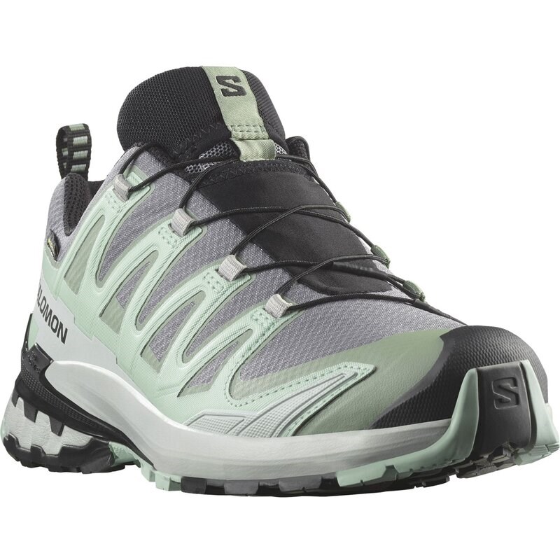 Salomon Damen Trailrunningschuhe SHOES XA PRO 3D V9 GTX W - Stiller Schatten/Seerosenblatt/Blauer Nebel