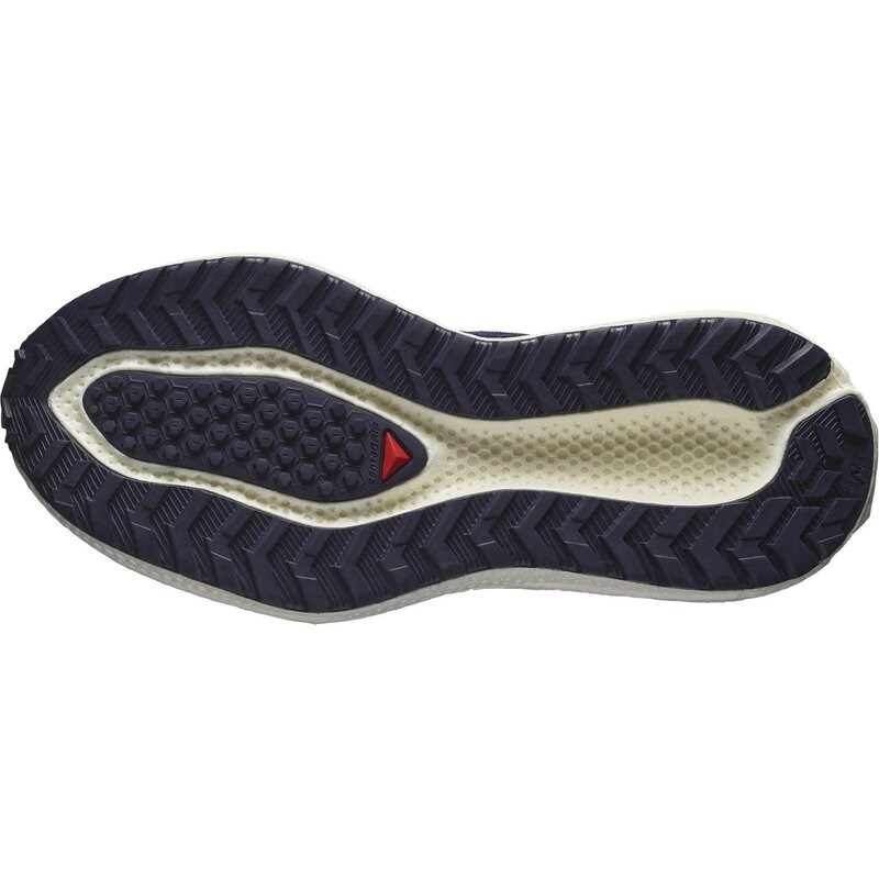 Salomon Damen Laufschuhe SHOES AERO GLIDE 3 GRVL W - Astrale Aura/Vanilleeis/Haute Red