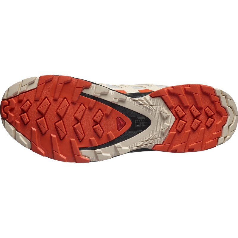 Salomon Damen Trailrunningschuhe SHOES XA PRO 3D v8 GTX W - Mondfelsen/Kirschtomate/Sonnenkuss