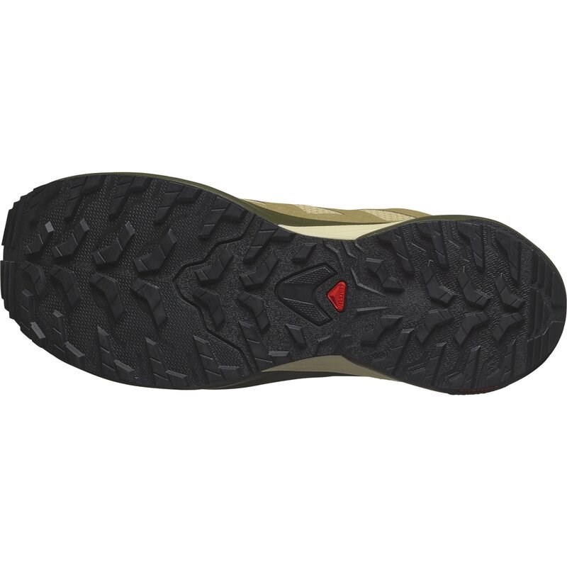 Salomon Herren Trailrunningschuhe SHOES X-ADVENTURE GTX - Schwamm/Grüner Nebel/Olive Night