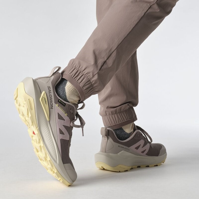 Salomon Damen Multifunktionsschuhe SHOES ELIXIR ACTIV GTX W - Eisen/Etherea/Tuc-Sonnenlicht