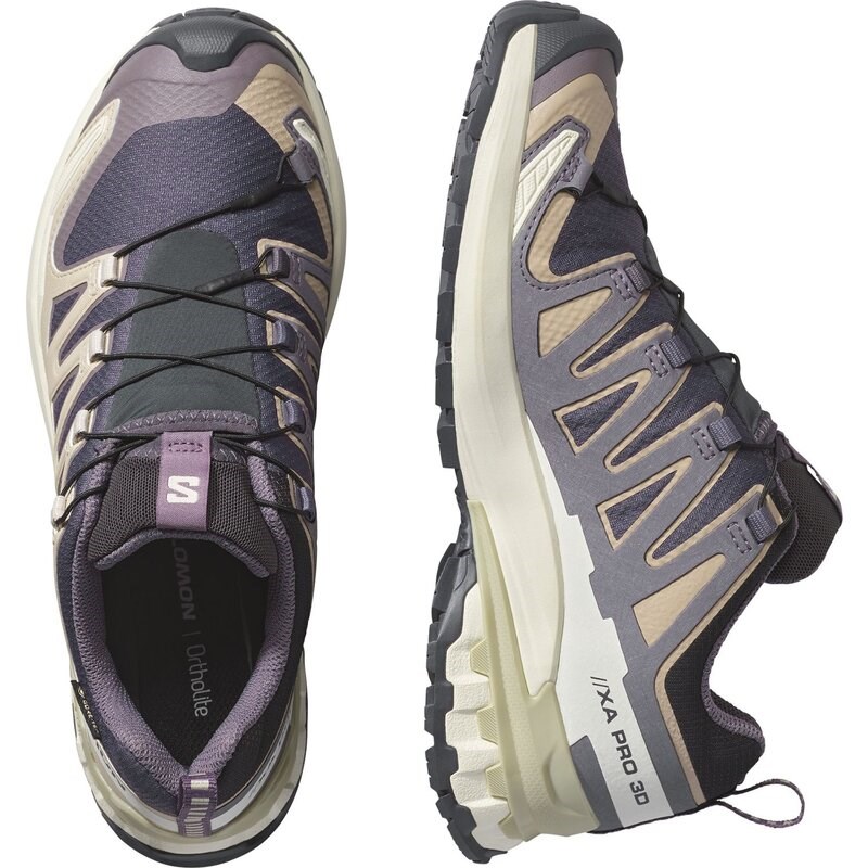Salomon Damen Trailrunningschuhe SHOES XA PRO 3D V9 GTX W 9 - Neun Eisen/Oxford Tan/Luzerne