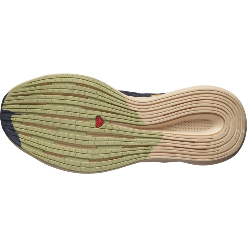 Salomon Damen Laufschuhe SHOES SPECTUR W - Ebenholz/Mandelcreme/Lauchgrün