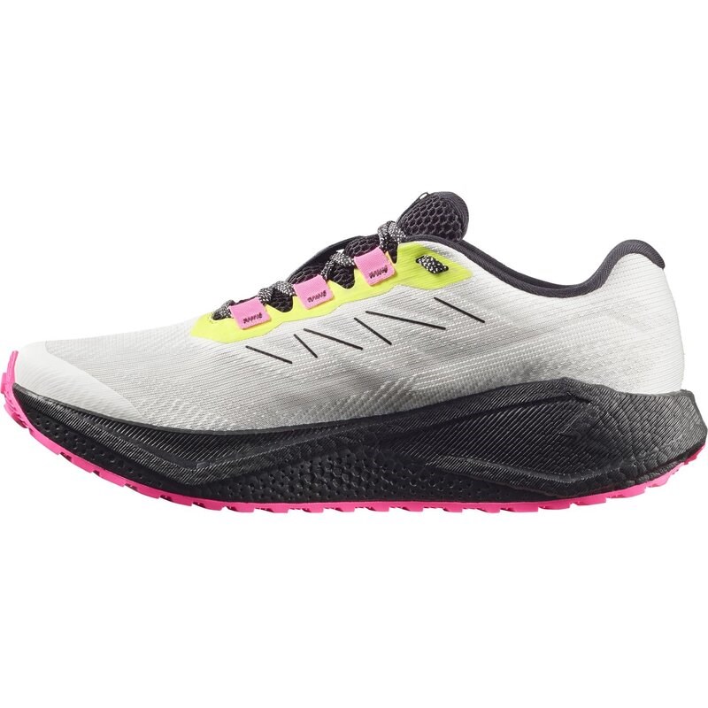 Salomon Herren Laufschuhe SHOES AERO BLAZE 3 GRVL GTX - Vanilleeis/Schwarz/Ojos del Salar