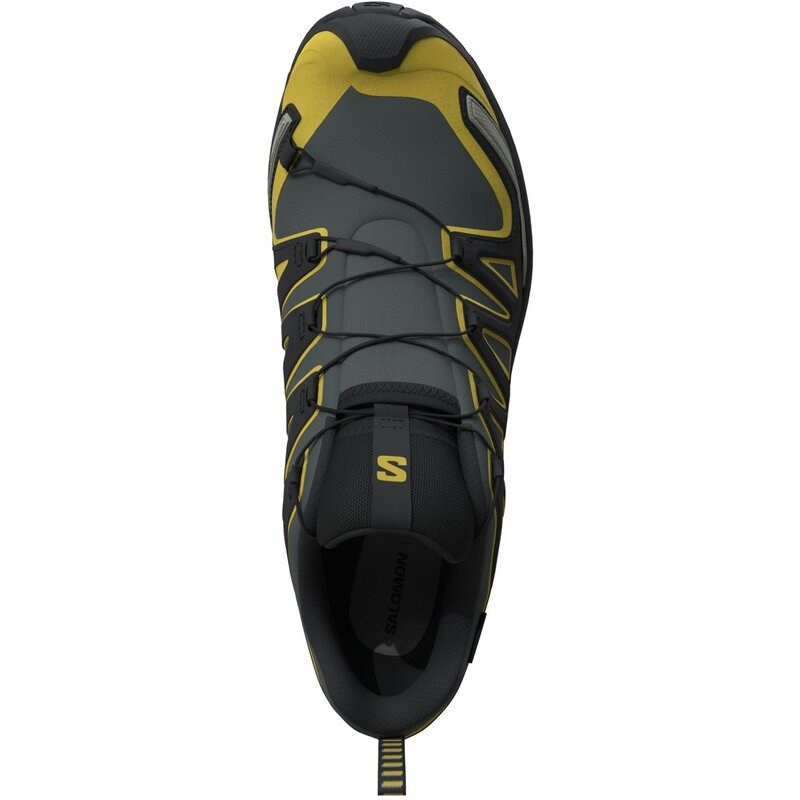 Salomon Herren Trailrunningschuhe SHOES XA PRO 3D V9 GTX - Urban Chic/Schwarz/Kressegrün