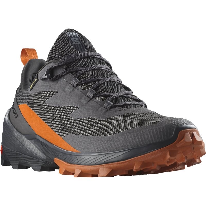 Salomon Herren Multifunktionsschuhe SHOES CROSS OVER 2 GTX - Magnet/Phantom/Gewürzstraße
